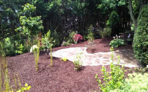 Backyard Oasis Garden Bed Planting2