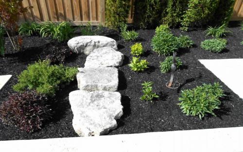 Backyard Planting  Design