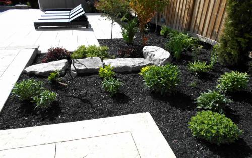 Backyard Planting  Design2