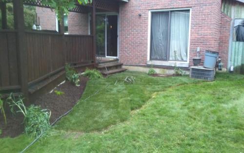 Backyard Sod  Garden Rejuvenation