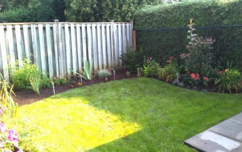 Backyard curvy garden bed installation