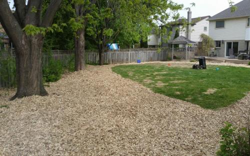 Dog Run Mulch