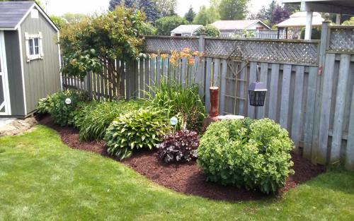 Established Garden Bed Cleanup