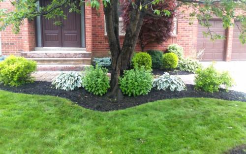Front Garden Bed Edging