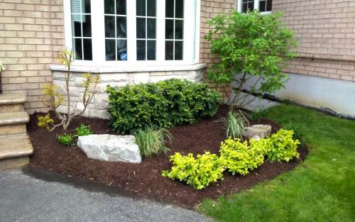 Front Garden Bed Planting  Flowers2