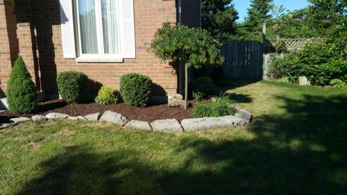 Front Yard Design Mulch After 2