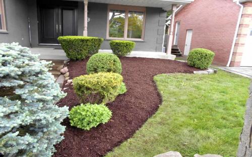 Front Yard Edging  Mulching
