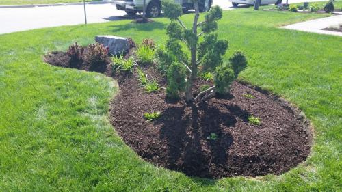 Front Yard Garden Edging Ideas After