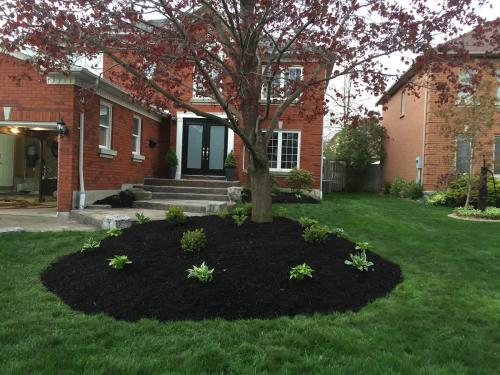 Front Yard Garden Planting After