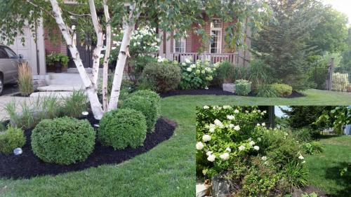 Front Yard Large Flower Bed Clean-Up After