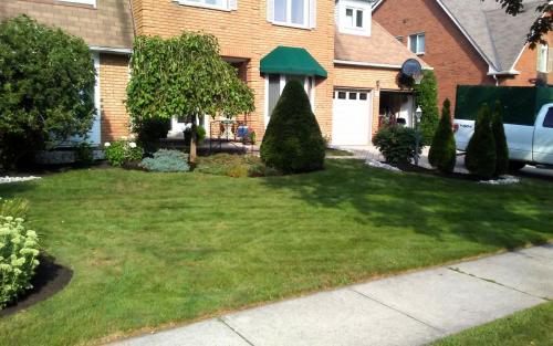 Front Yard Mature Garden Cleanup with River Stone2