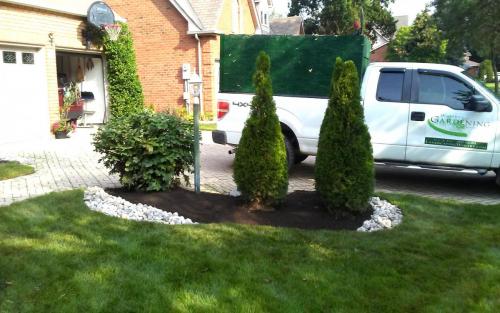 Front Yard Mature Garden Cleanup with River Stone3