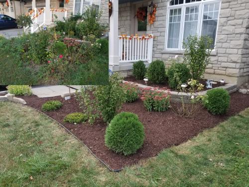 Front Yard Small Garden Bed Clean-Up After