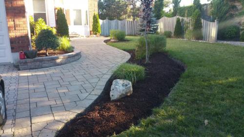 Front Yard Walkway Garden Edging