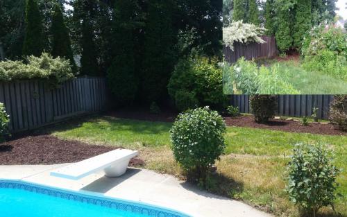 Garden Bed Clean-Up Mulch Gardener 2