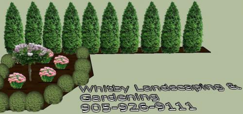 Garden Bed Design Layout