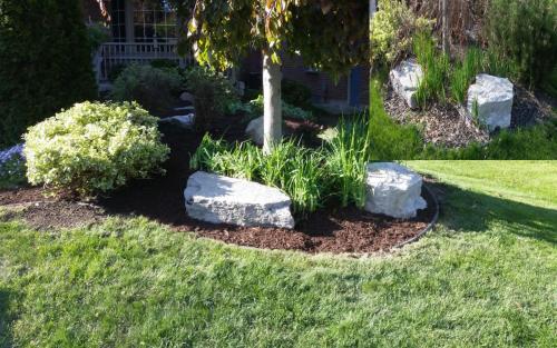 Garden Bed Pruning and Clean-Up