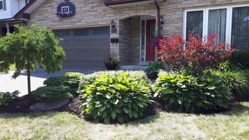 Garden Flower Bed Design Ideas 2