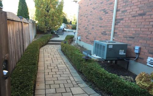 Garden Path Planting