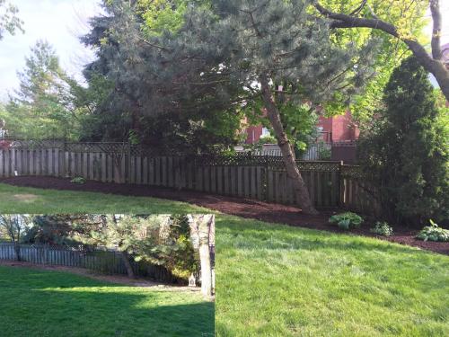 Landscaping Design Ideas Garden After 1