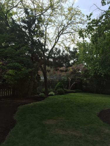 Landscaping Design Ideas Garden After 3