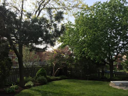 Landscaping Design Ideas Garden After 4