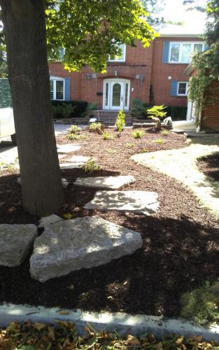 Large Front Garden Bed Renovation