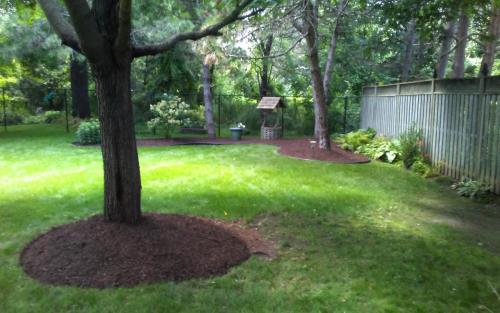 Large Garden Bed Cleanup1