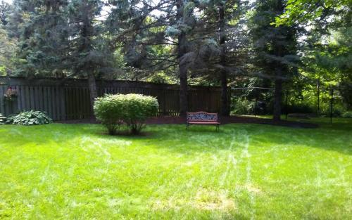 Large Garden Bed Cleanup2