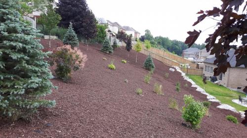 Large Garden Bed Mulch After 3