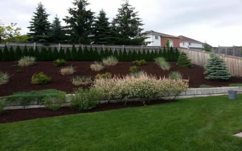 Large Garden Bed Mulch Cedars