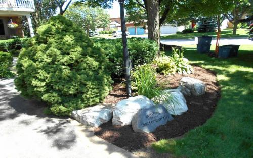 Mature Garden Bed Cleanup  Design