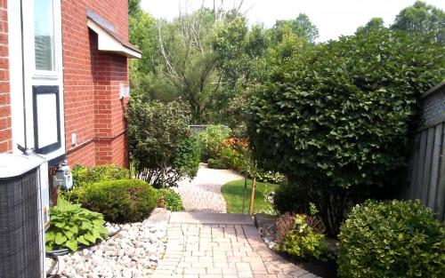 Mature Garden Bed Pruning