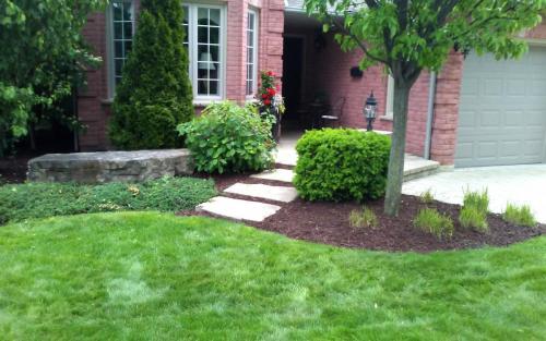 Mature Garden Cleanup1