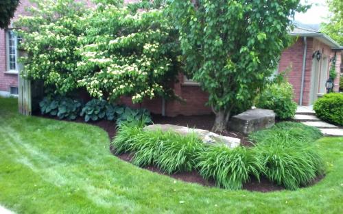 Mature Garden Cleanup2