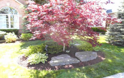 Minimalistic Garden Bed Design