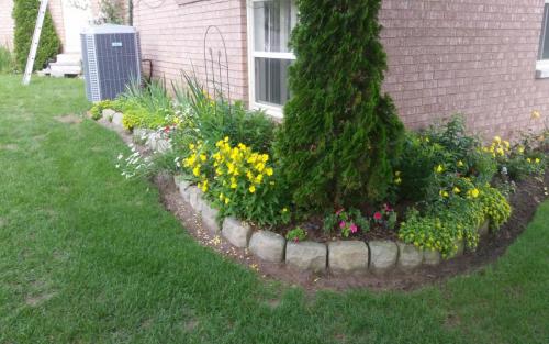 Plants Planting Colourful Perennials 3