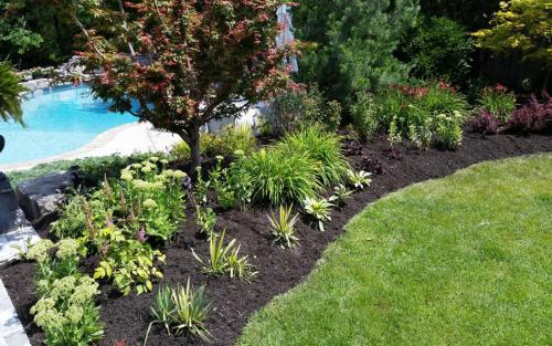Pool Landscaping and Flower Beds