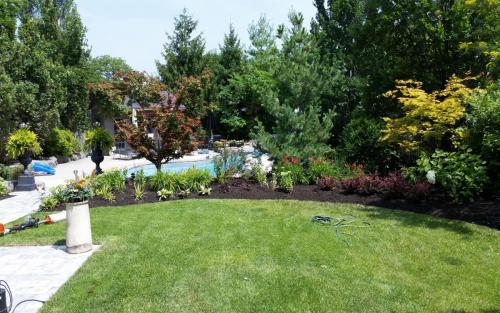 Pool Landscaping and Flower Beds 3