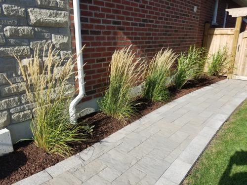 Side Yard Flower Bed Idea