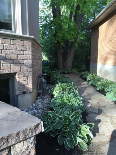 Side Yard Garden Bed Idea