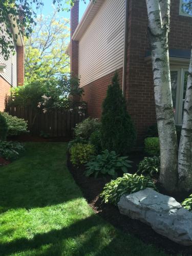 Side Yard Garden Edging Idea