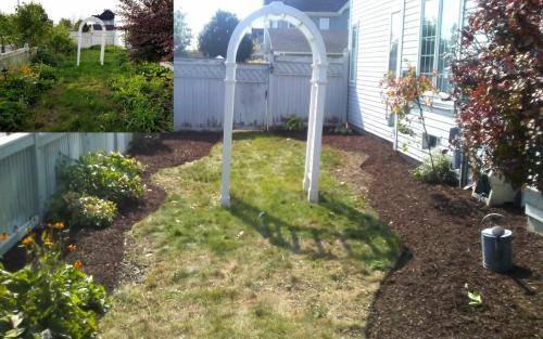 Sideyard Cleanup After