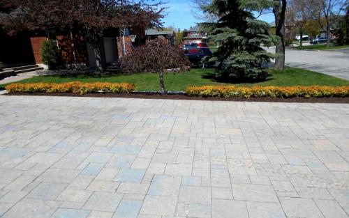 Sideyard Spirea Planting