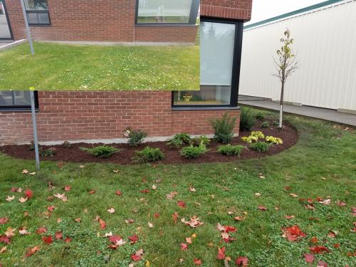 Small Front Garden Design After 1