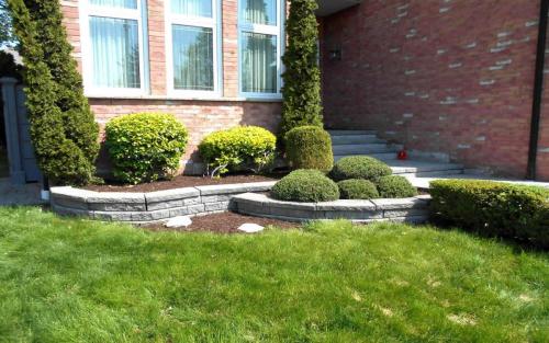 Small Front Garden Pruning