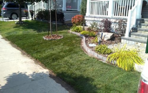 Small Front Yard Garden  Sod