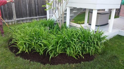 Small Garden Bed Design After