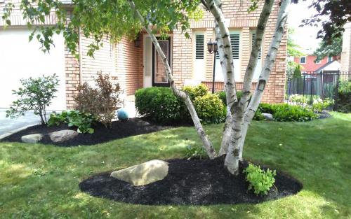 Small Garden Bed Installation  Planting2