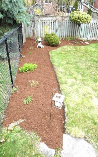 Small Garden bed with Mulch